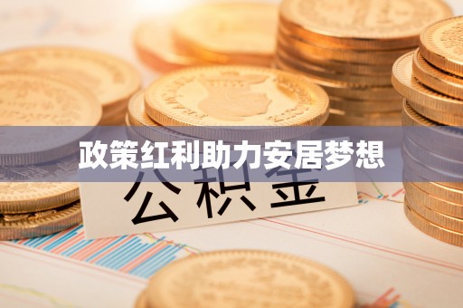 拜泉政策红利助力安居梦想