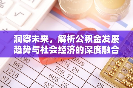 拜泉洞察未来，解析公积金发展趋势与社会经济的深度融合