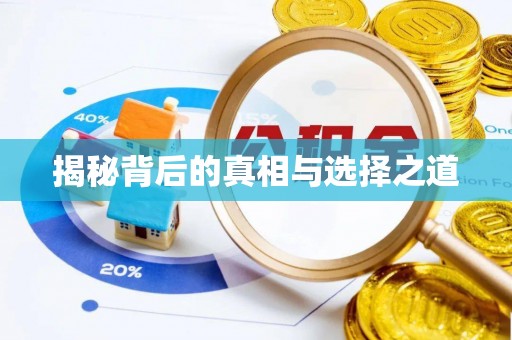 拜泉揭秘背后的真相与选择之道