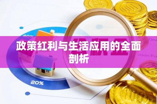 拜泉政策红利与生活应用的全面剖析