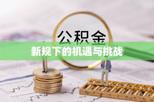 拜泉新规下的机遇与挑战