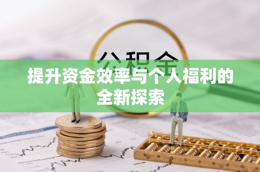 拜泉提升资金效率与个人福利的全新探索