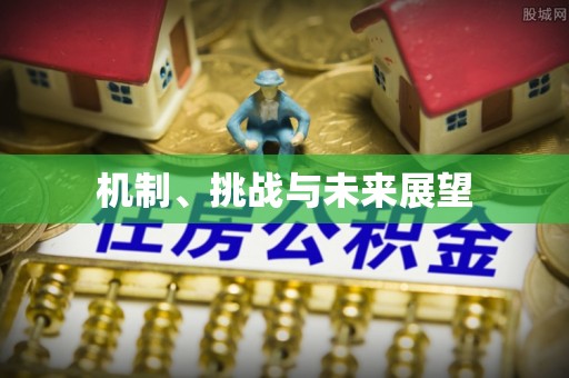 拜泉机制、挑战与未来展望