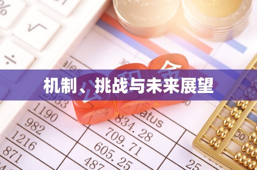 拜泉机制、挑战与未来展望